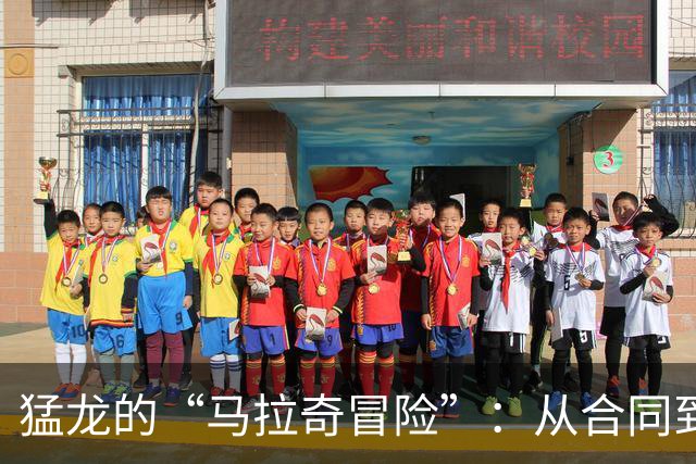 猛龙的“马拉奇冒险”：从合同到双向的幽默小故事